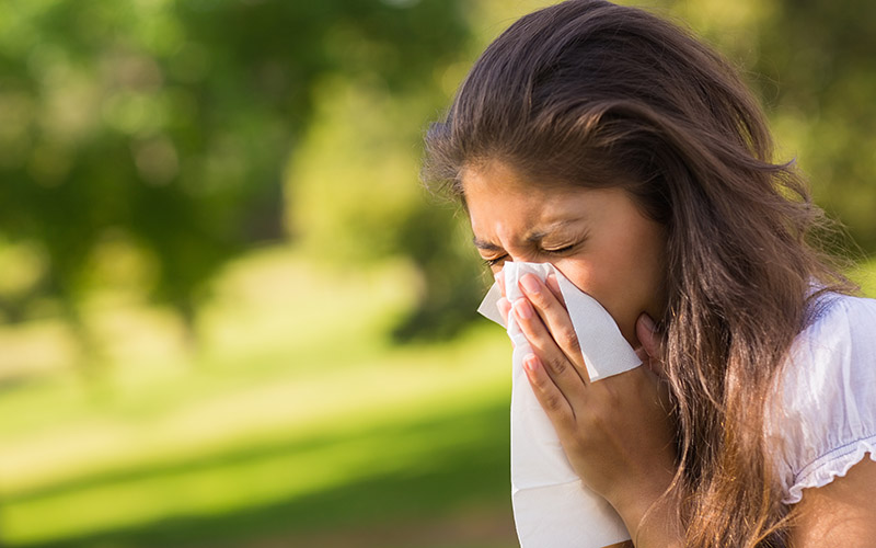 Best Strategies for the Upcoming Allergy Season